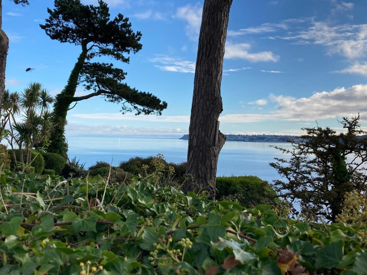 The Wentworth Guest House Paignton Bagian luar foto