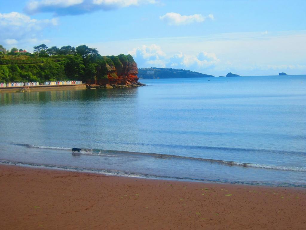 The Wentworth Guest House Paignton Bagian luar foto