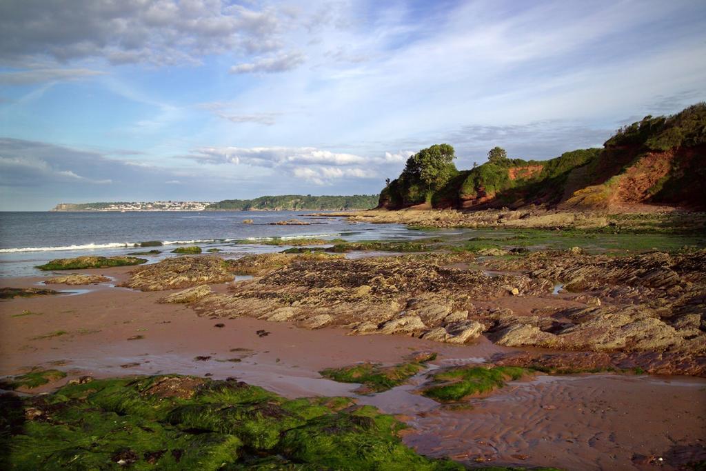 The Wentworth Guest House Paignton Bagian luar foto